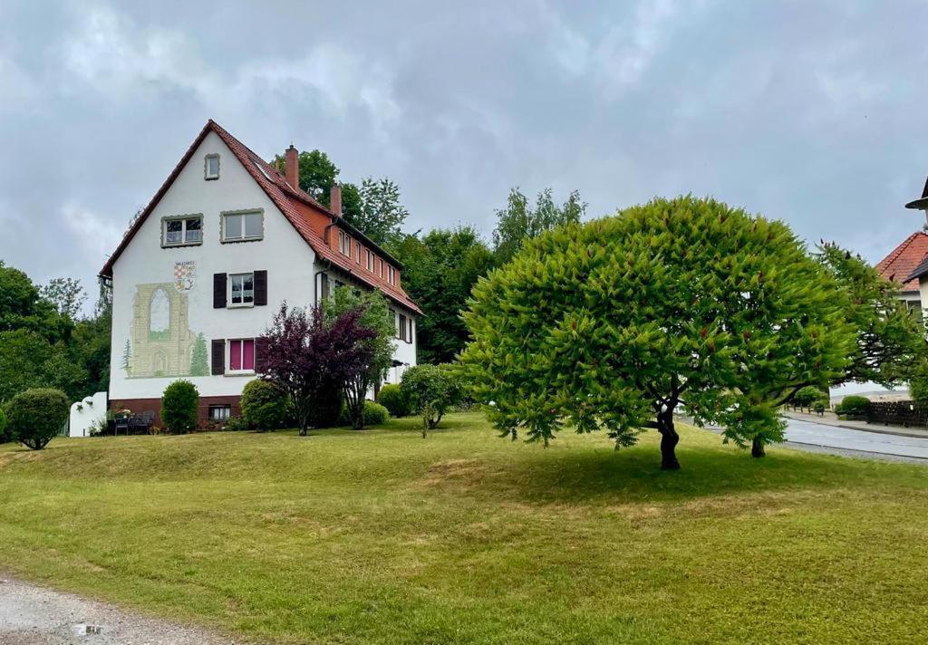 Apartamento Kiosterlinchen Walkenried Exterior foto